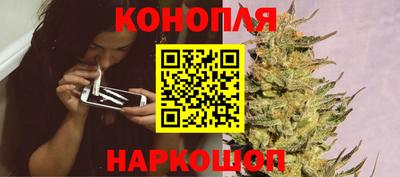 Альфа ПВП Нальчик