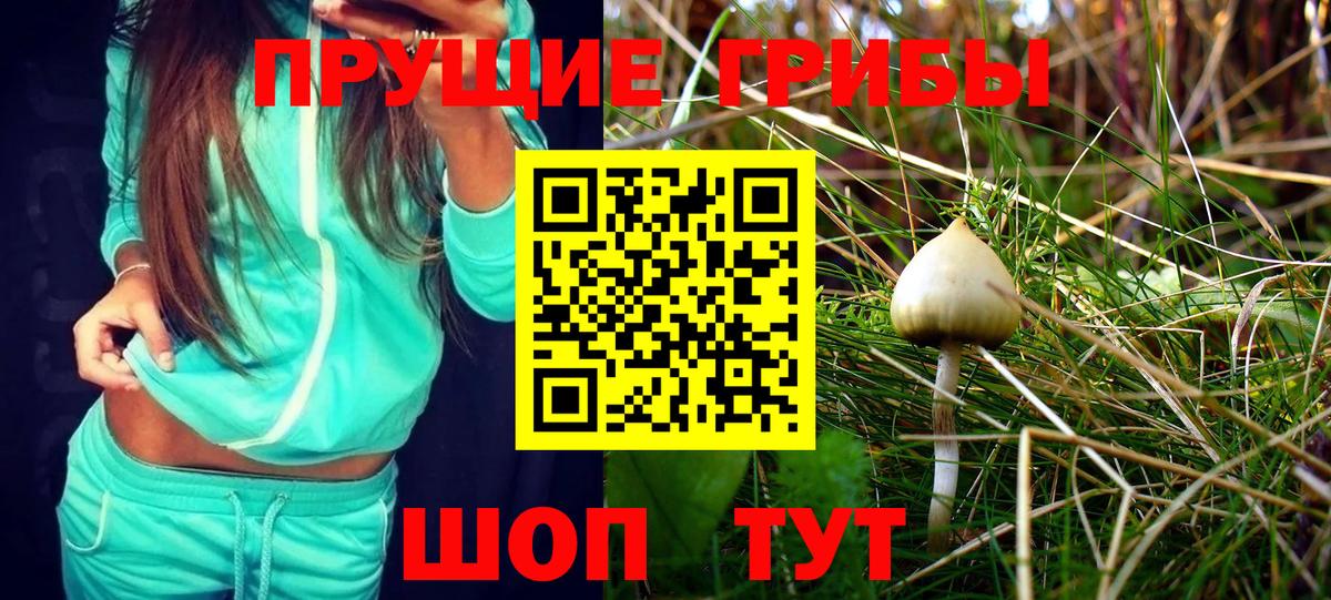 Псилоцибиновые грибы прущие грибы Тамбов